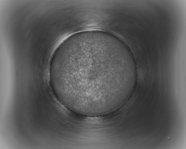 X0000103911415200809261600