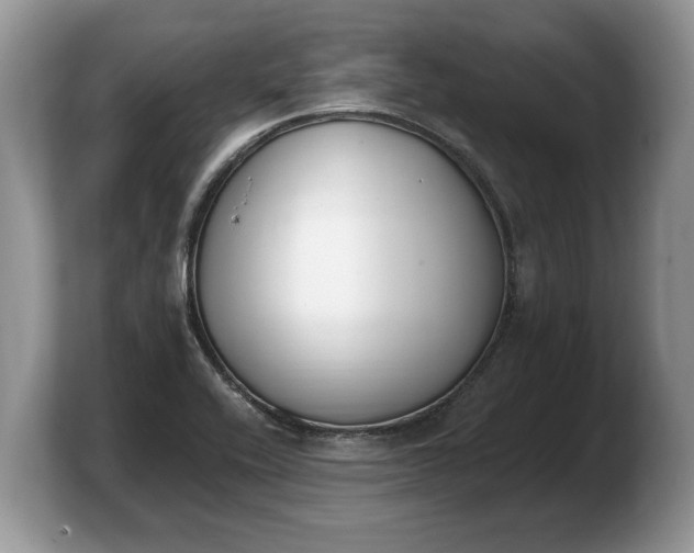 X0000103911416200809261600