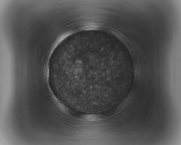 X0000103911418200809261600