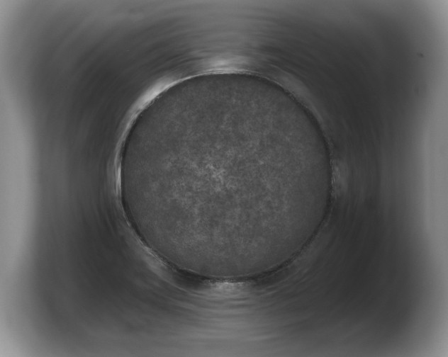 X0000103911419200809261600