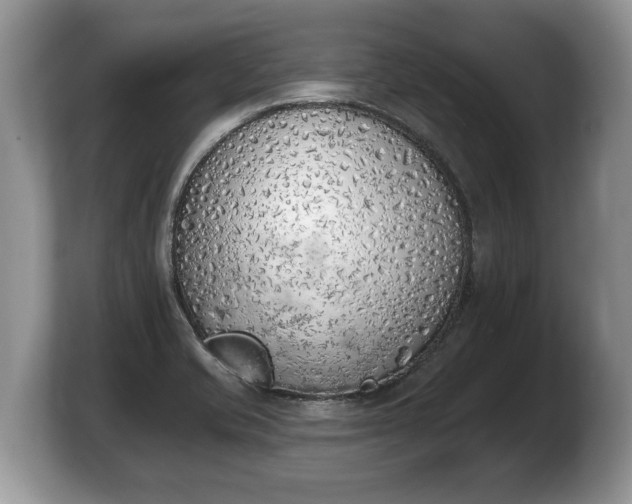 X0000103911421200809261600