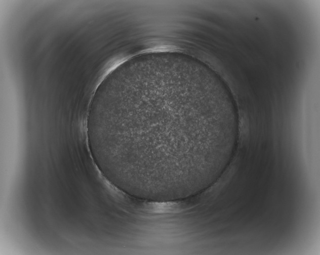 X0000103911425200809261600