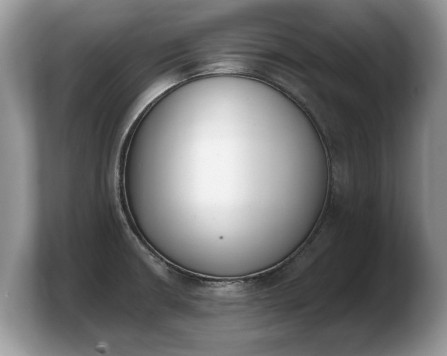 X0000103911426200809261600