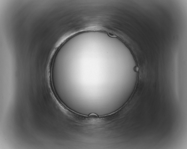 X0000103911430200809261600