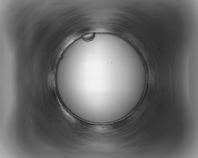 X0000103911433200809261600