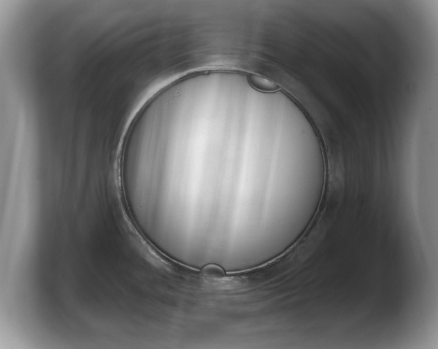 X0000103911436200809261600