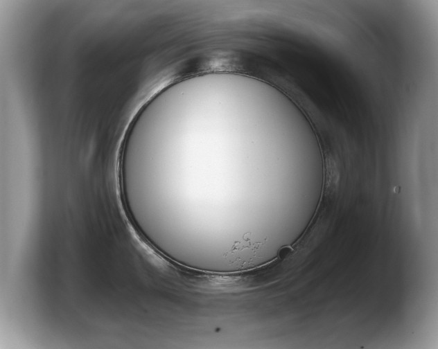 X0000103911439200809261601