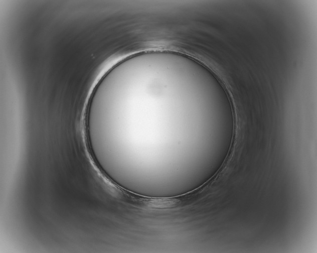 X0000103911440200809261601