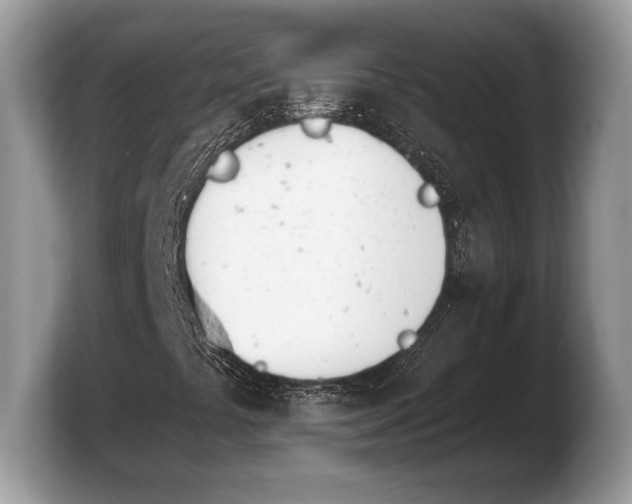 X0000103911441200809261600