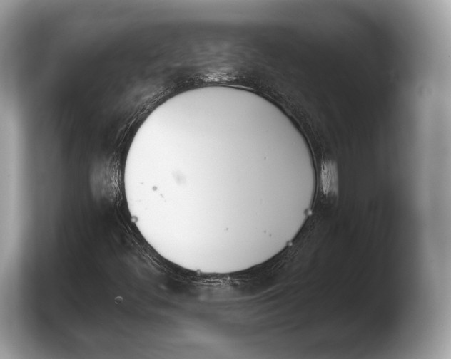 X0000103911444200809261600