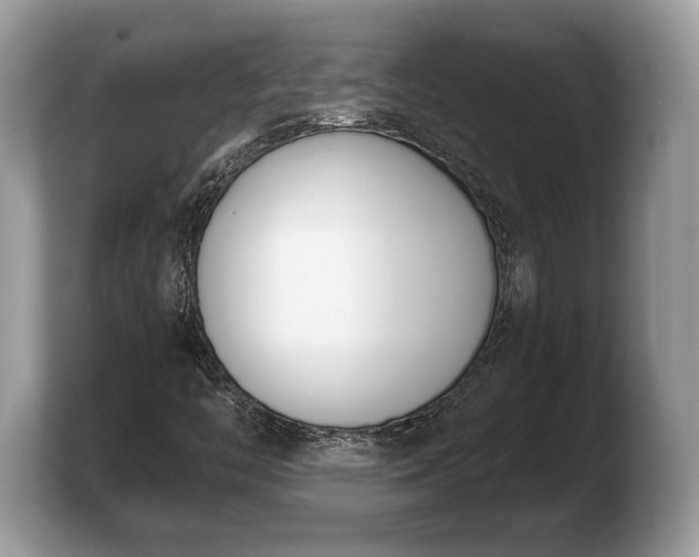 X0000103911446200809261600