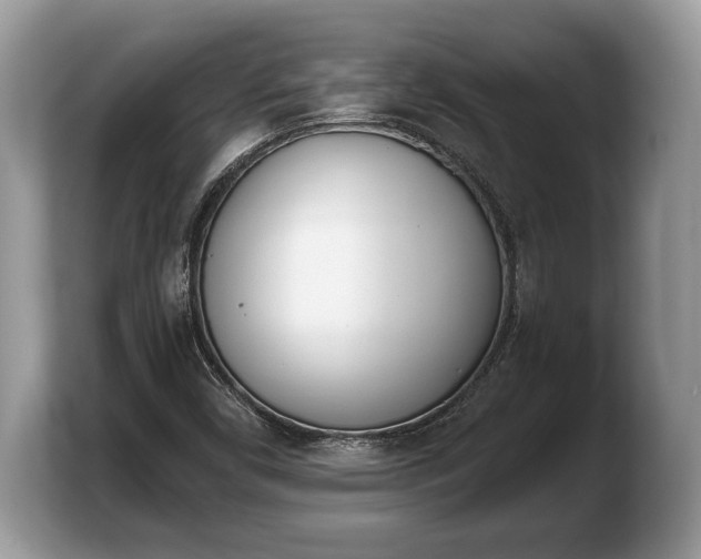 X0000103911450200809261600