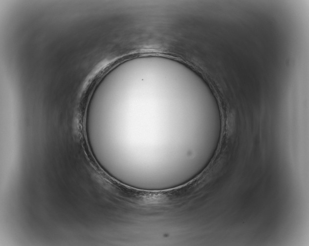 X0000103911454200809261600
