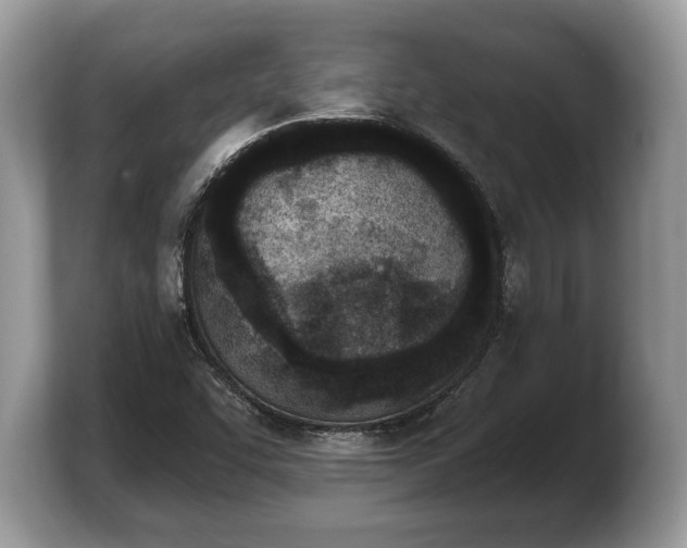 X0000103911455200809261600