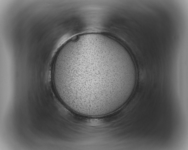 X0000103911459200809261600
