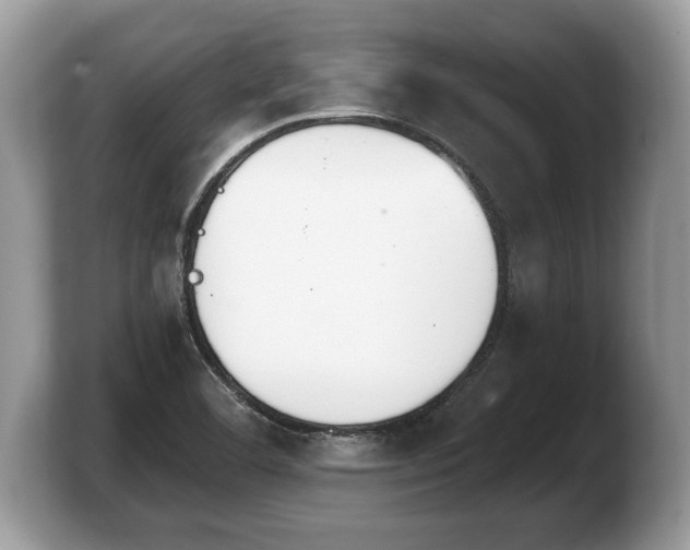 X0000103911460200809261600