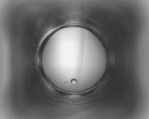 X0000103911462200809261600