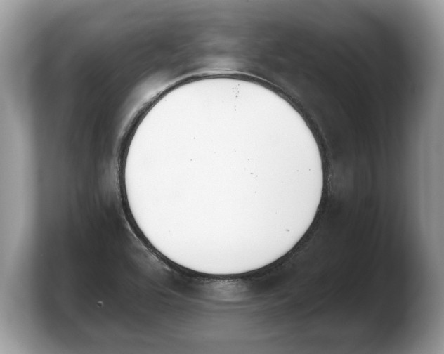 X0000103911464200809261600