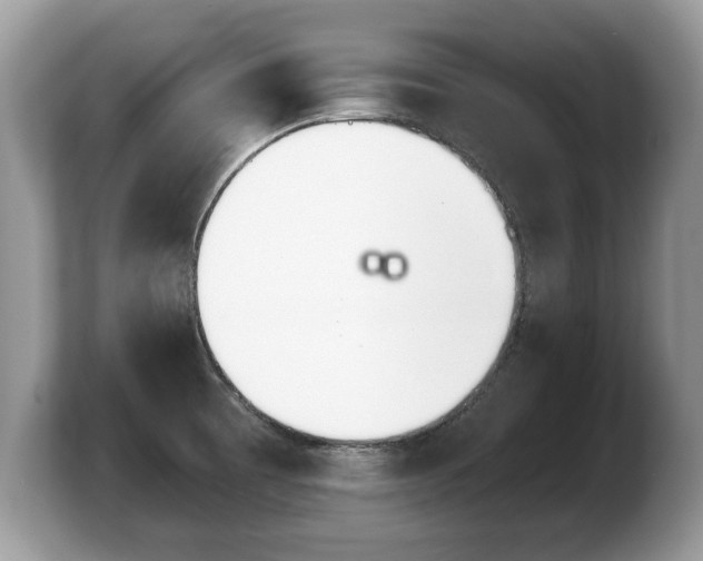 X0000103911473200809261559