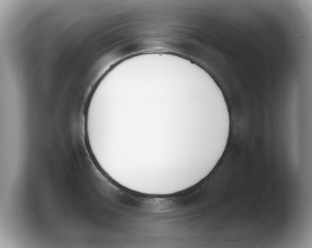 X0000103911476200809261559