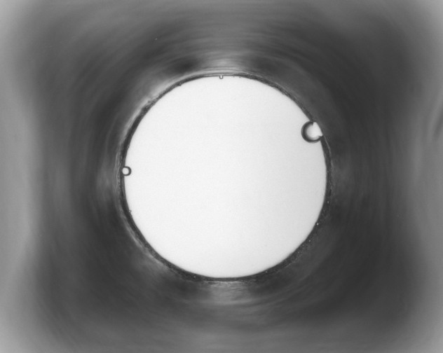 X0000103911477200809261559