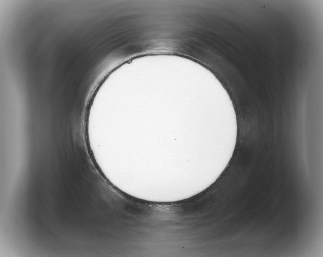 X0000103911480200809261559