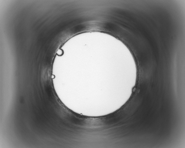 X0000103911481200809261559