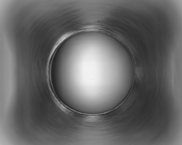 X0000103911482200809261559