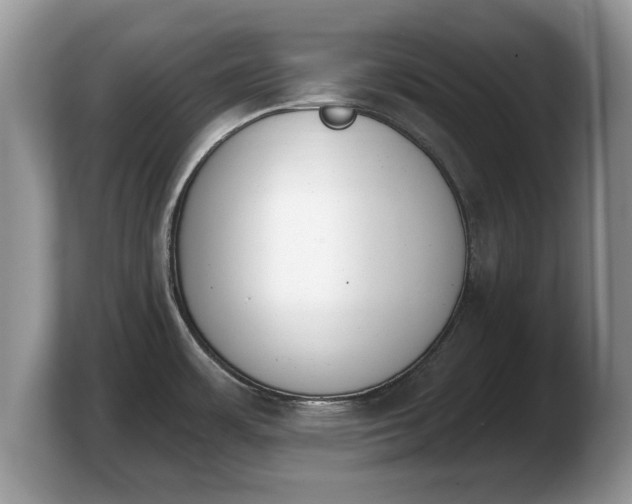 X0000103911483200809261559