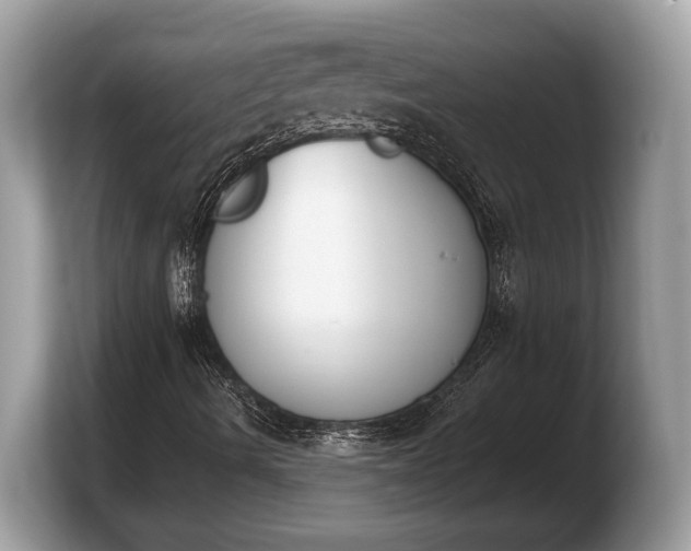 X0000103911490200809261559