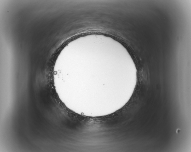 X0000103911496200809261559