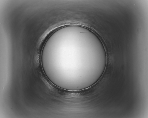 X0000103911503200809261559