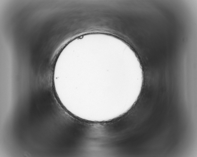 X0000103911504200809261559