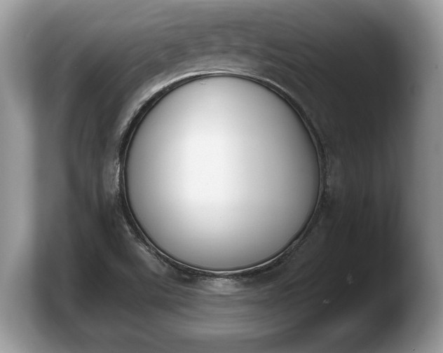 X0000103911507200809261559
