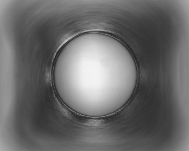 X0000103911513200809261559