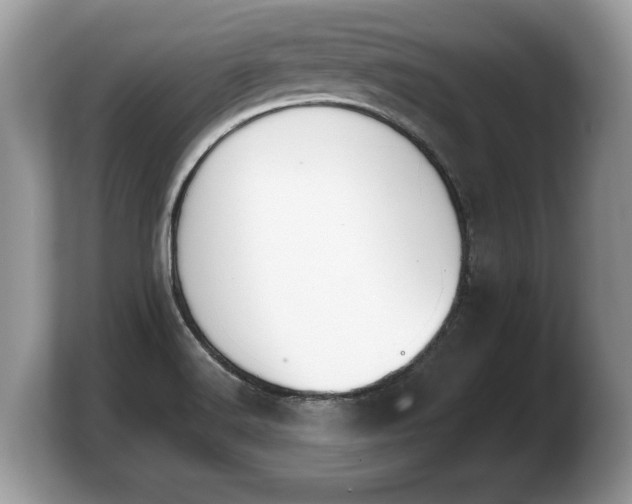 X0000103911516200809261559