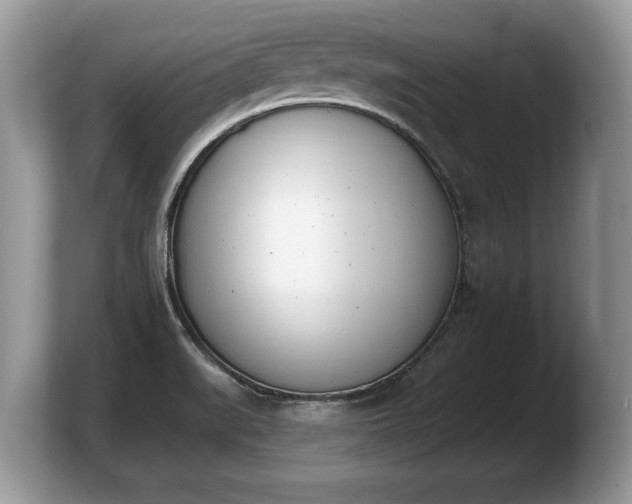 X0000103911519200809261559