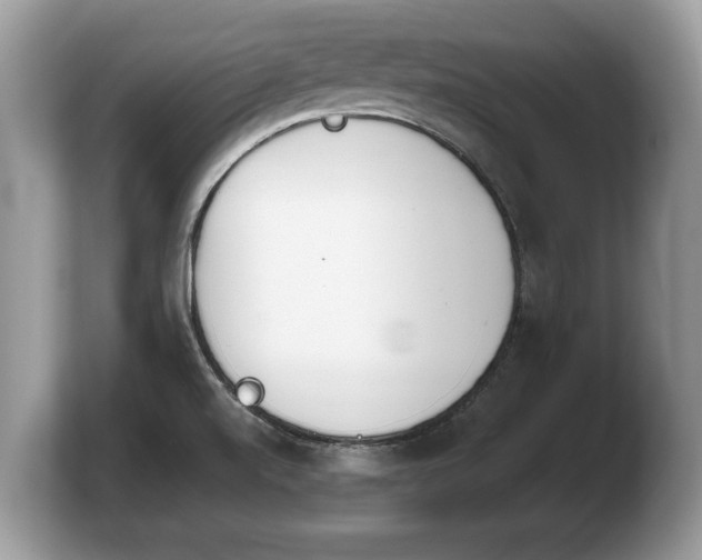 X0000103911520200809261559