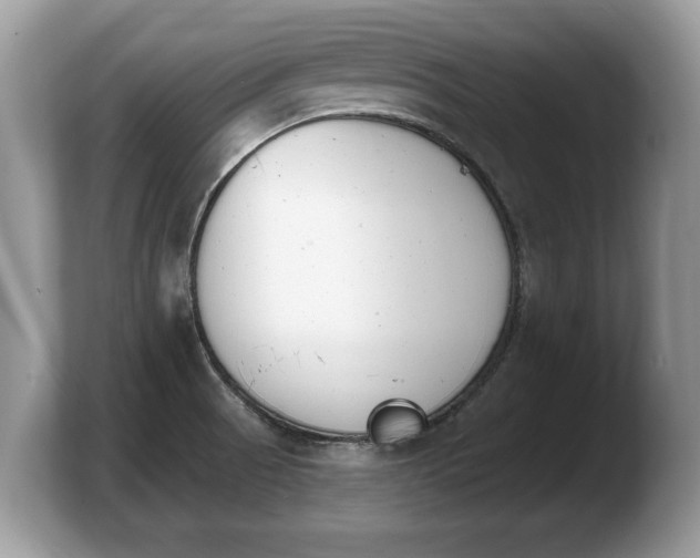 X0000103911521200809261559