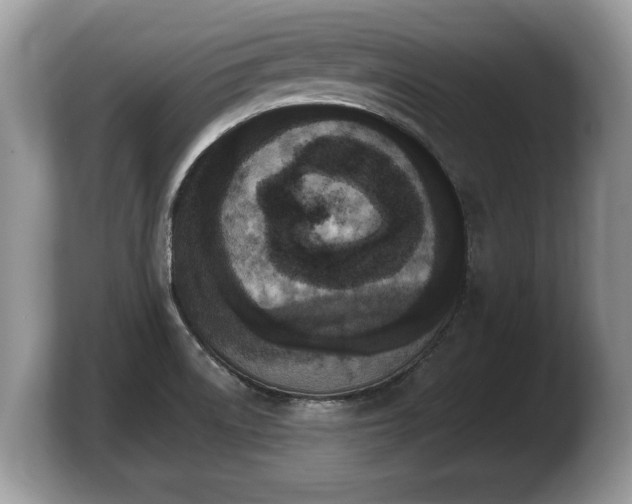 X0000103911522200809261559