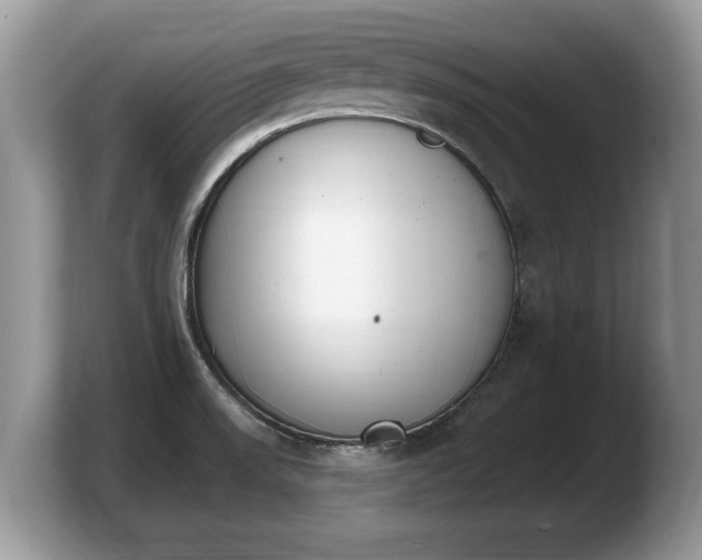 X0000103911523200809261559