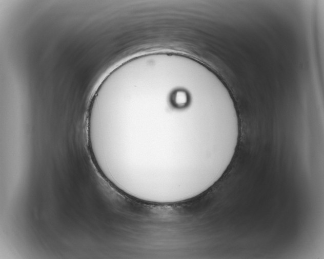 X0000103911524200809261559