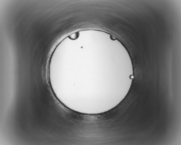 X0000103911528200809261559