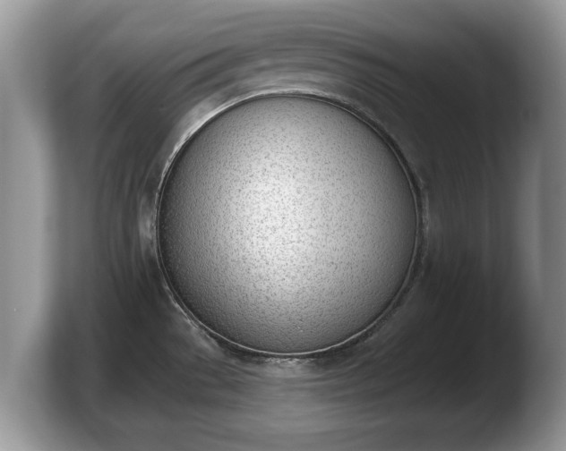 X0000103911529200809261559