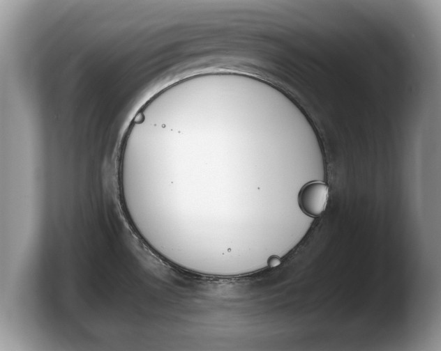 X0000103911530200809261559