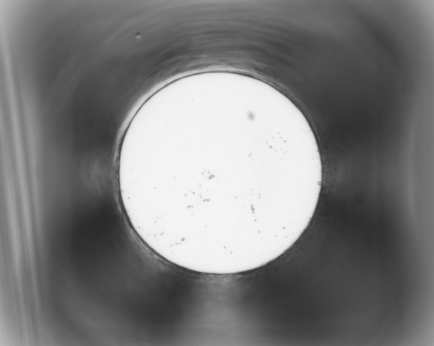 X0000103911532200809261559