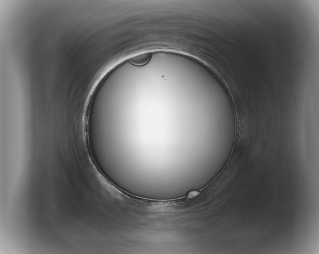 X0000103911535200809261559