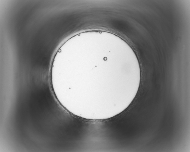 X0000103911536200809261559