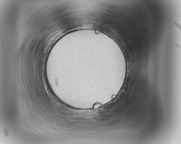 X0000103910001200810031223