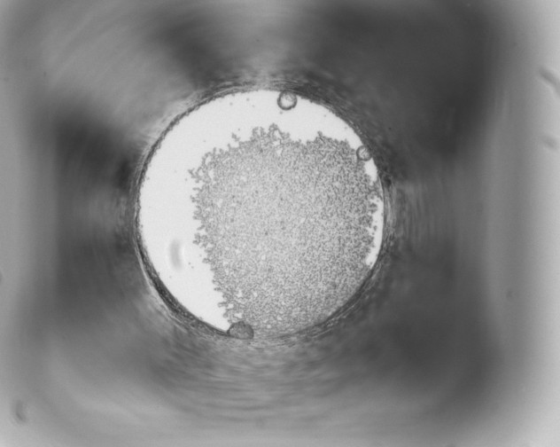 X0000103910003200810031223